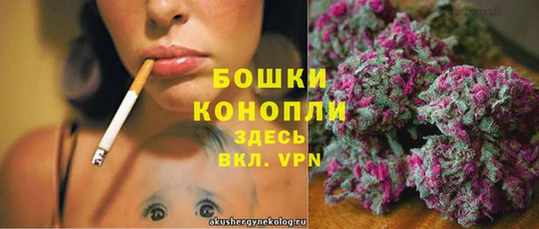 PSILOCYBIN Дмитриев